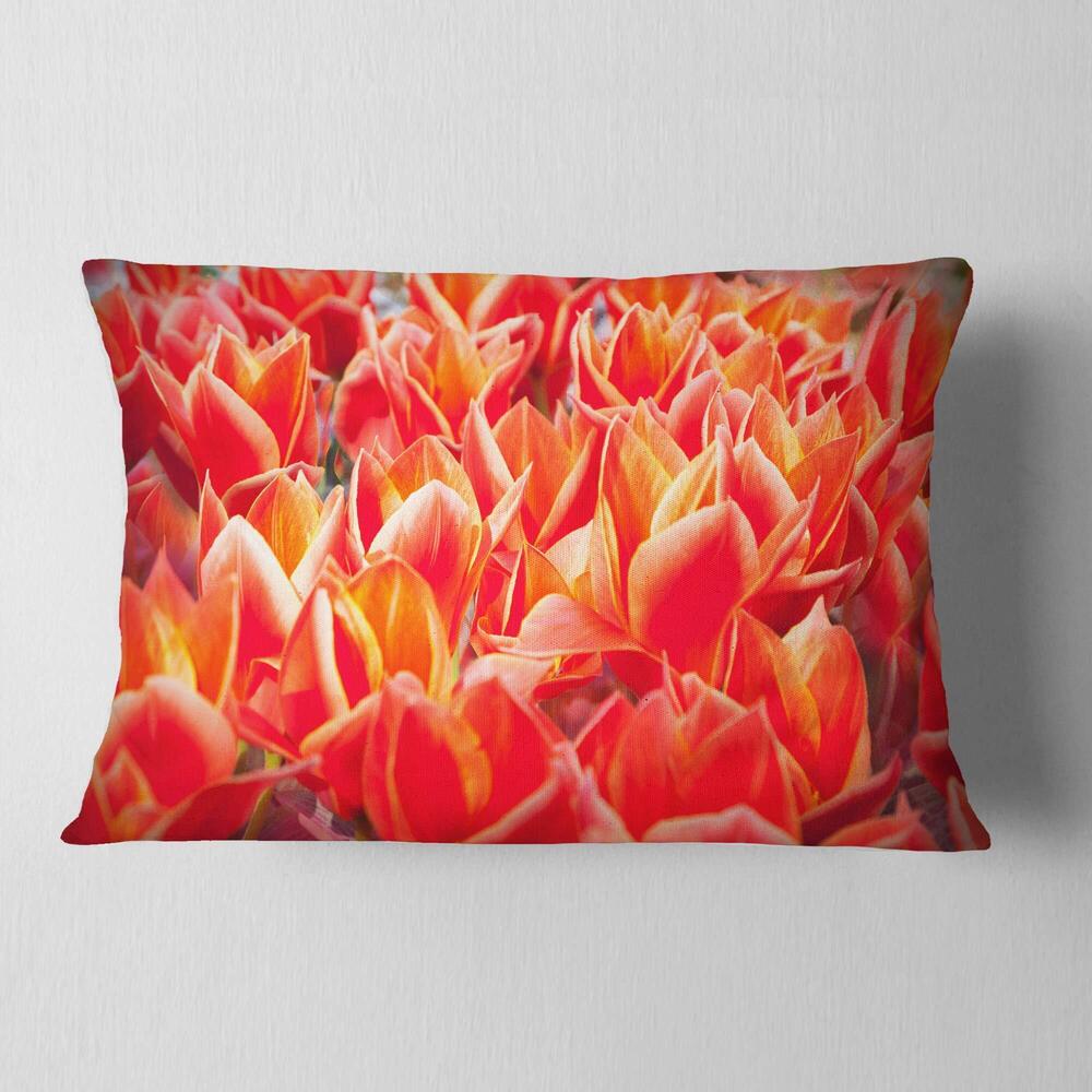 9836 Designart Tulip Flowers in The Keukenhof Park' Floral Throw Lumbar